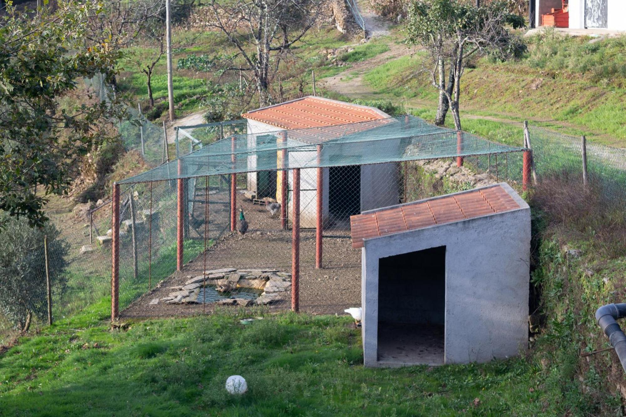 Ecofurtado Villa Kültér fotó
