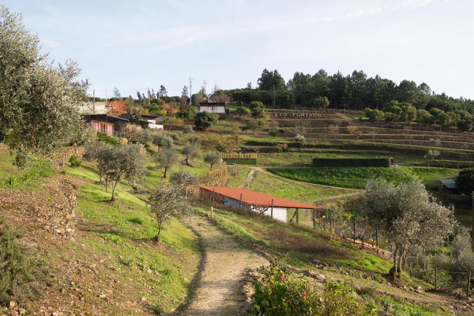 Ecofurtado Villa Kültér fotó