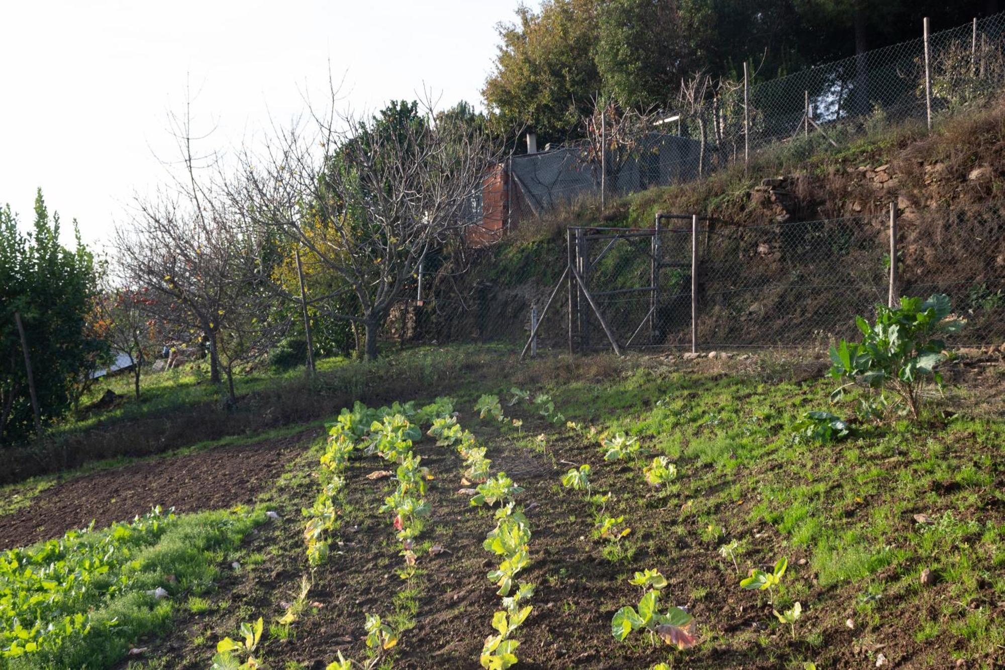 Ecofurtado Villa Kültér fotó