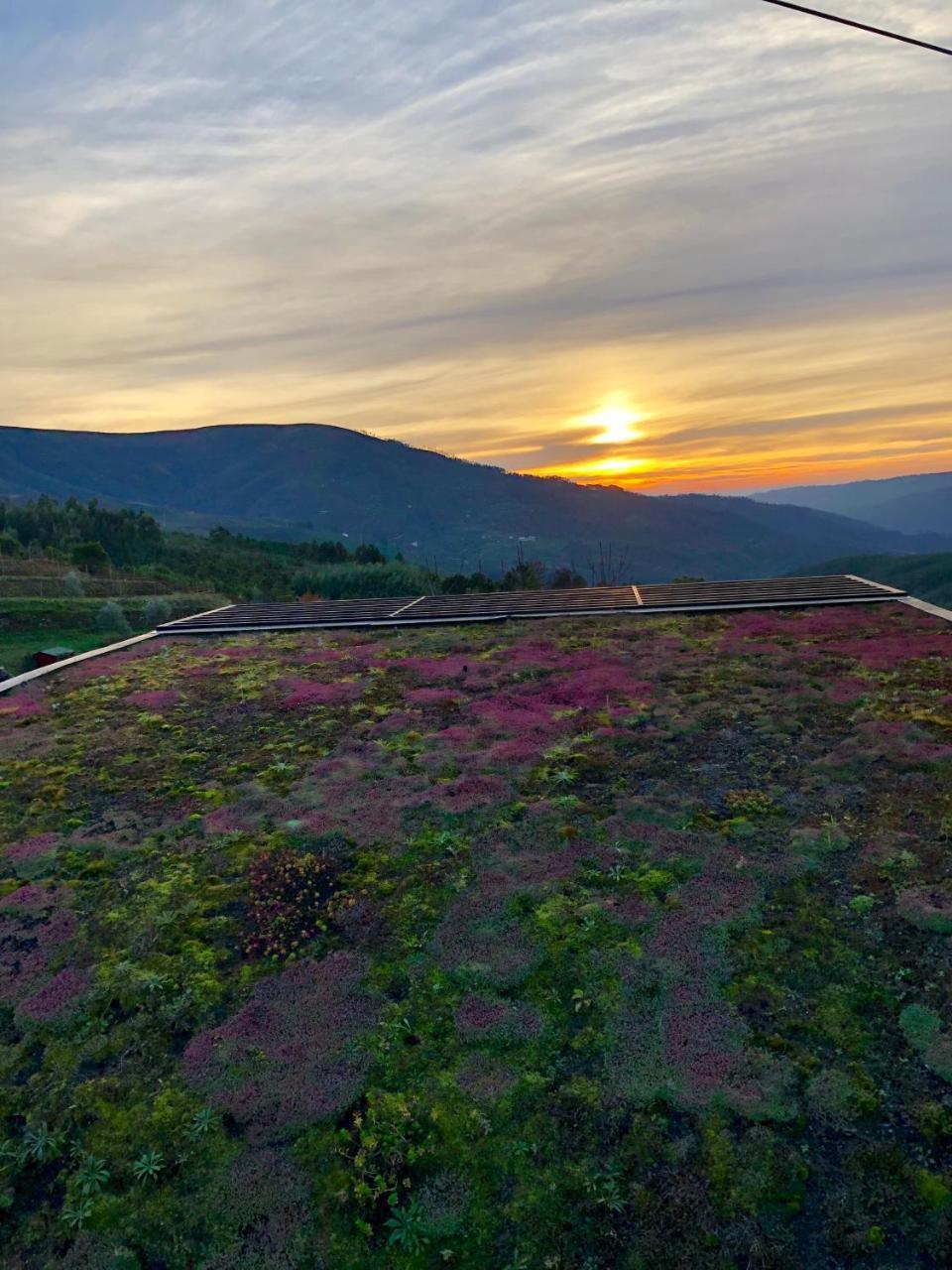 Ecofurtado Villa Kültér fotó